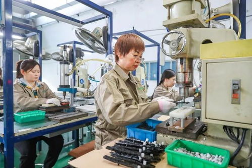 最美生產(chǎn)線丨走進(jìn)上海亨諾模塑科技 智造引擎驅(qū)動下的技術(shù)服務(wù)新標(biāo)桿